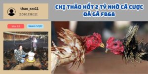 Chị Thảo Hốt 2 Tỷ Nhờ Cá Cược Đá Gà FB68 – Thành Công Đỉnh Cao Từ Đam Mê 3 Chị Thảo Hốt 2 Tỷ Nhờ Cá Cược Đá Gà FB68 – Thành Công Đỉnh Cao Từ Đam Mê